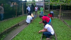 1917036_1699963743623319_2742266333858460803_n