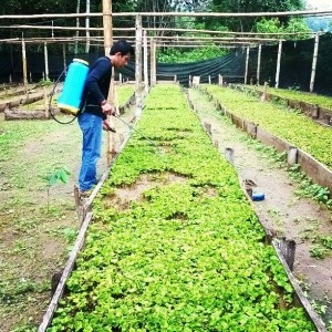 1917128_1699963846956642_4516965975508192285_n