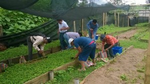 1923763_1699963770289983_1639254585437873372_n