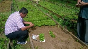 1934407_1699963826956644_2598783382581618834_n